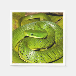 Green Struik Rat Snake Servet
