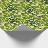 Green Succulent Close Cacti Art Cadeaupapier (Hoek)