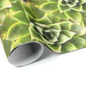 Green Succulent Close Cacti Art Cadeaupapier (Rol Hoek)