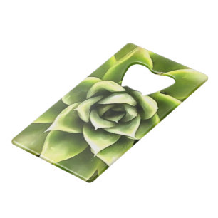 Green Succulent Close Cacti Art Creditkaart Flessenopener