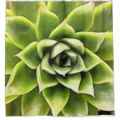 Green Succulent Close Cacti Art Douchegordijn (Voorkant)