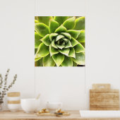 Green Succulent Close Cacti Art Poster (Keuken)