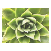 Green Succulent Close Cacti Art Tafelkleed (Voorkant (Horizontaal))