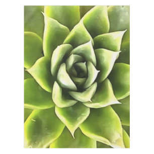 Green Succulent Close Cacti Art Tafelkleed