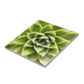 Green Succulent Close Cacti Art Tegeltje (Zijkant)