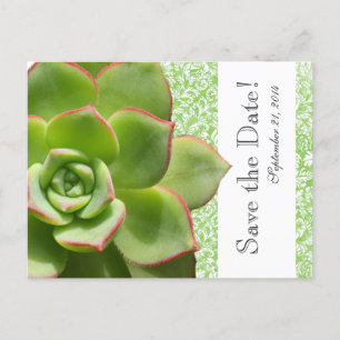 Green Succulent  Damask save the date Aankondigingskaart