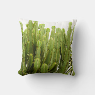 Green Succulent Plant Sierkussen Cushion