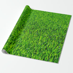 Green Summer Grass Texture Cadeaupapier