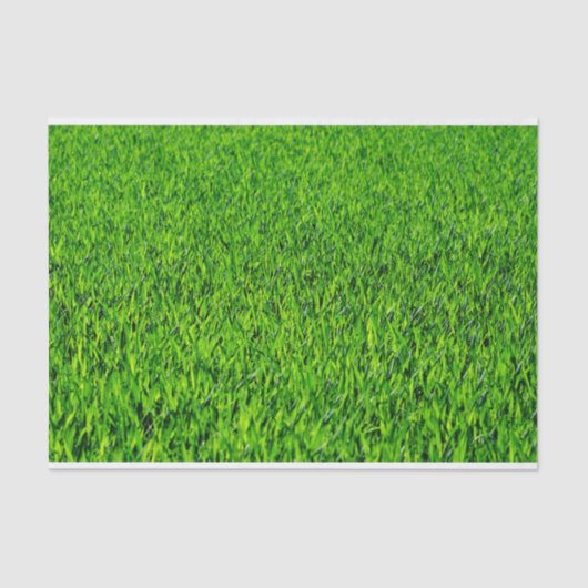 Green Summer Grass Texture Tissuepapier (Voorkant)