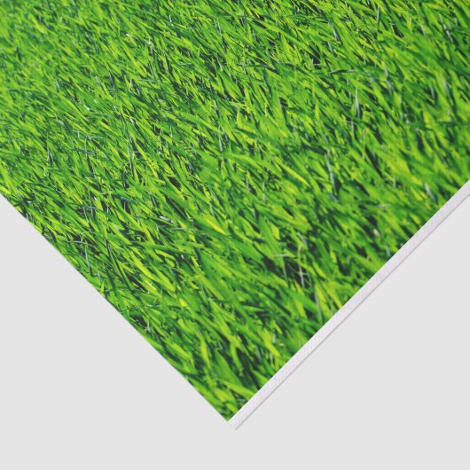 Green Summer Grass Texture Tissuepapier (Detail)