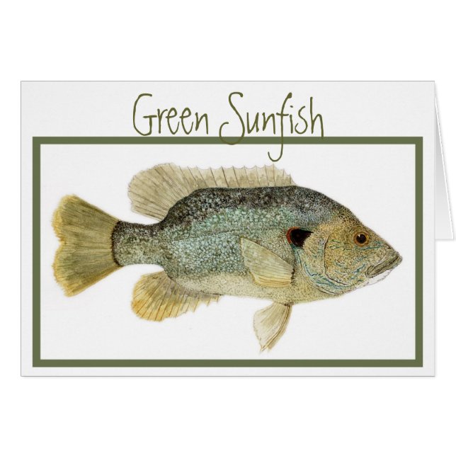 Green Sunfish card (Voorkant Horizontaal)