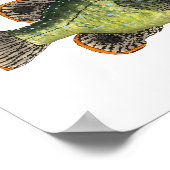 Green Sunfish T-Shirt Poster (Hoek)