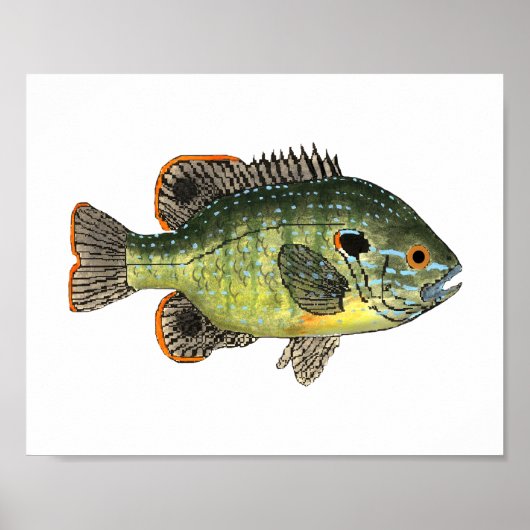 Green Sunfish T-Shirt Poster (Voorkant)