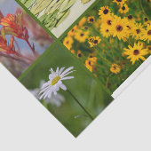 Green Theme Flowers Planten Lily Pad Mixed Media Tissuepapier (Detail)