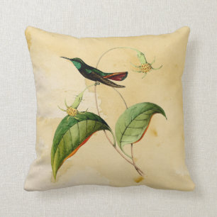 Green Throated Mango Hummingbird Waterverf Pillow Kussen