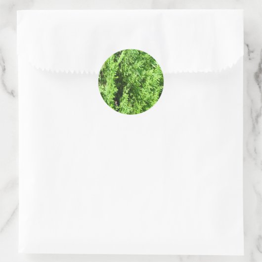Green Thuja plant Ronde Sticker (Tas)