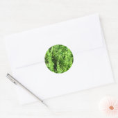 Green Thuja plant Ronde Sticker (Envelop)