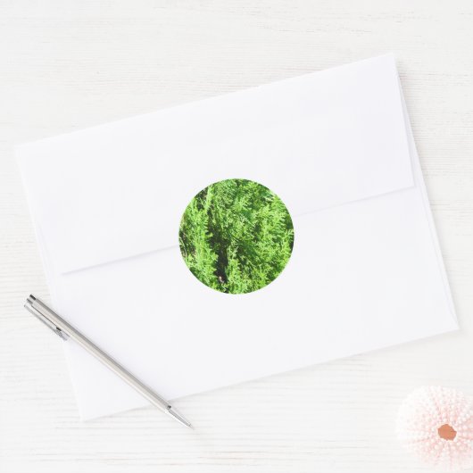 Green Thuja plant Ronde Sticker (Envelop)