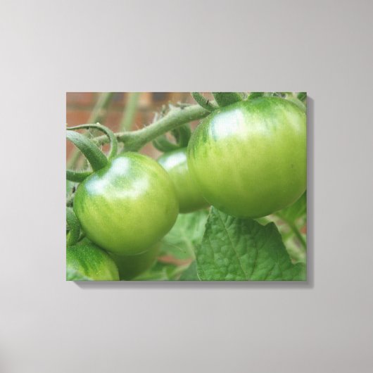 Green Tomaten Canvas Afdrukken (Voorkant)