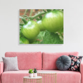 Green Tomaten Canvas Afdrukken (Insitu (Woonkamer))