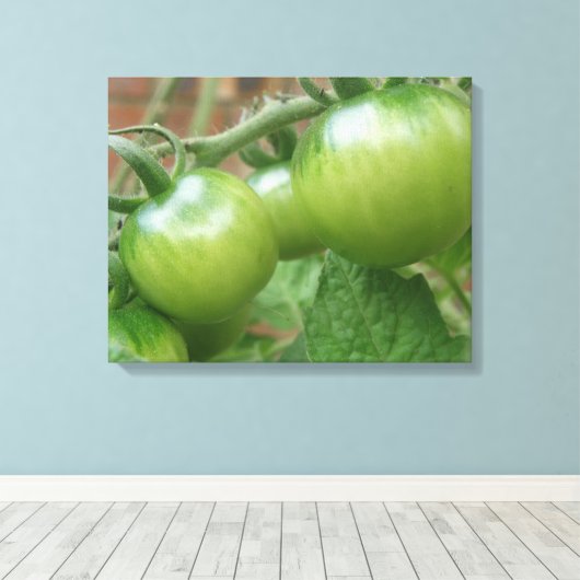 Green Tomaten Canvas Afdrukken (Insitu (Houten vloer))