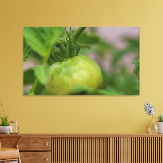 Green Tomato Canvas Afdruk (Insitu (Woonkamer))