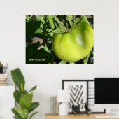 Green Tomato Poster (Thuiskantoor)