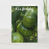 GREEN TOMATO VEGETABLE GARDEN BIRTHDAY CARD KAART (Voorkant)