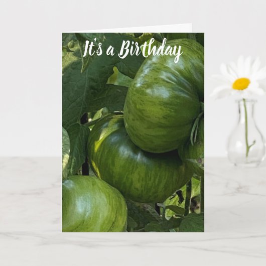 GREEN TOMATO VEGETABLE GARDEN BIRTHDAY CARD KAART (Kleine Plant)
