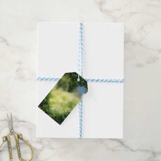 Green Topiary Heart Cadeaulabel (Met Touw)