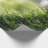 Green Topiary Heart Cadeaupapier (Hoek)