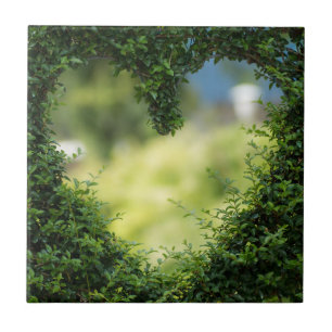Green Topiary Heart Tegeltje