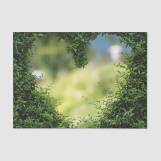 Green Topiary Heart Tissuepapier (Voorkant)