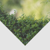 Green Topiary Heart Tissuepapier (Detail)