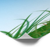 Green Tractor Birthday Poster (Hoek)