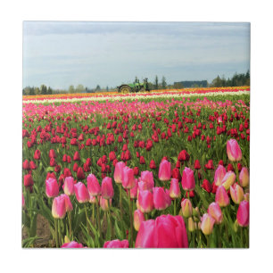 Green Tractor in Tulip Field, Oregon Tegeltje