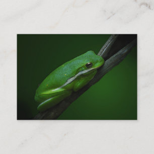 Green Tree Frog ATC-kaart Visitekaartje