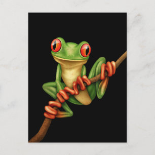 Green Tree Frog on a Branch on Black Briefkaart