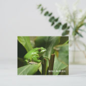 Green Tree Frog Post Card Briefkaart (Staand voorkant)