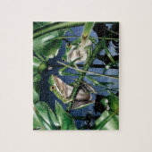 Green Tree Frog Puzzle Legpuzzel (Verticaal)