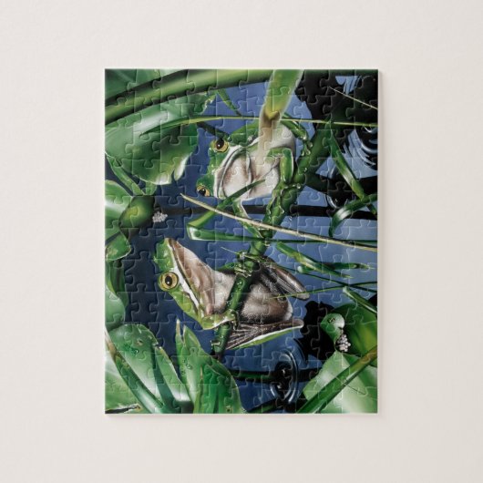 Green Tree Frog Puzzle Legpuzzel (Verticaal)