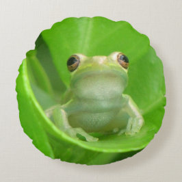 Green Tree Frog Sierkussen Rond Kussen