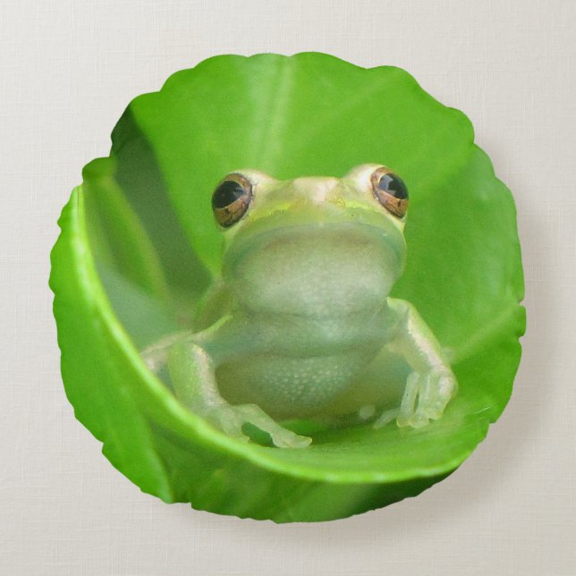 Green Tree Frog Sierkussen Rond Kussen (Voorkant)