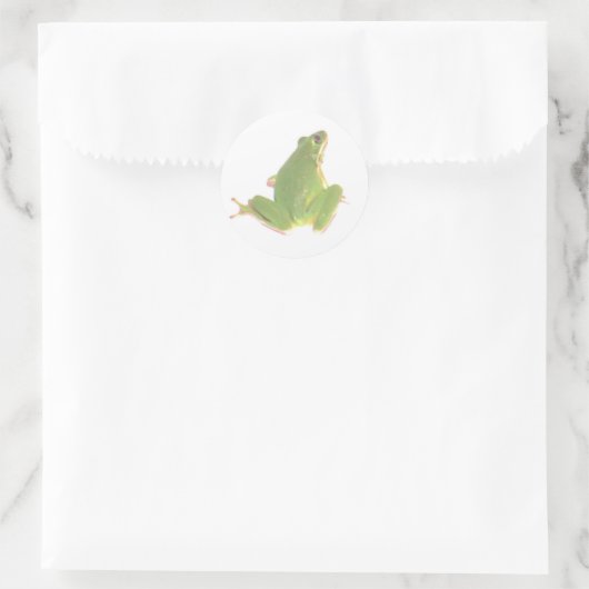 Green Tree Frog Sticker - Klein (Tas)