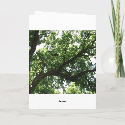 Green Tree Get Well Kaart (Achterkant)