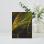 green tree python eye briefkaart (Staand voorkant)