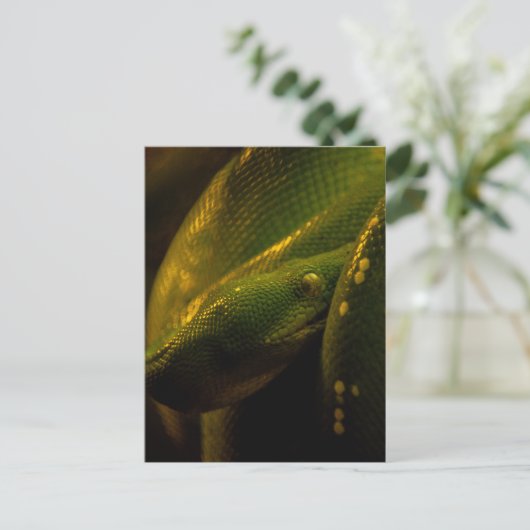 green tree python eye briefkaart (Staand voorkant)