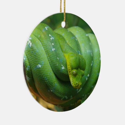 Green Tree Python Snake Keramisch Ornament (Rechts)