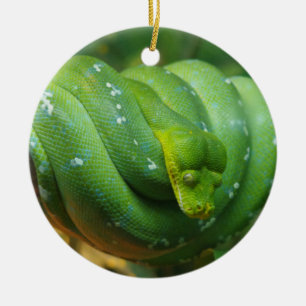 Green Tree Python Snake Keramisch Ornament