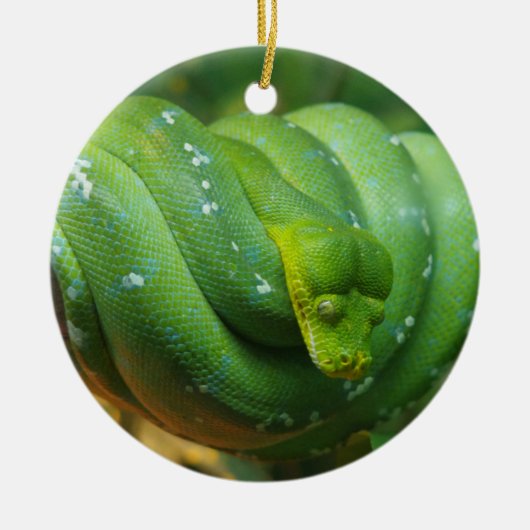 Green Tree Python Snake Keramisch Ornament (Voorkant)